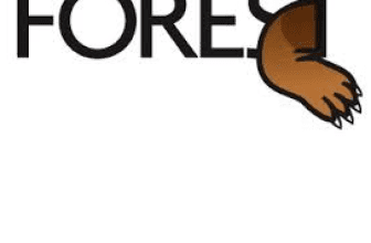 Cupom de desconto Envato