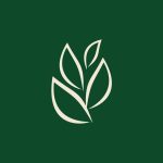 Descontos na Leve Croc